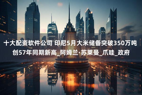 十大配资软件公司 印尼5月大米储备突破350万吨 创57年同期新高_阿姆兰·苏莱曼_爪哇_政府